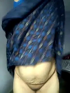 Hansikatelugu webcam