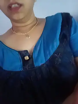 Hansikatelugu webcam