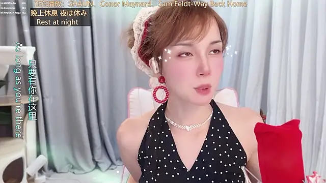 hi-AnAn webcam