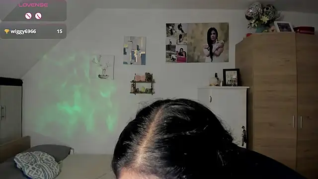 Veronikolsen- webcam