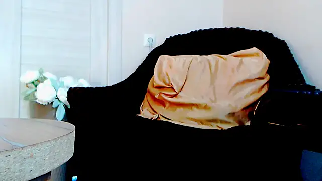 Live_View webcam