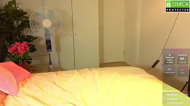 lu_muon webcam