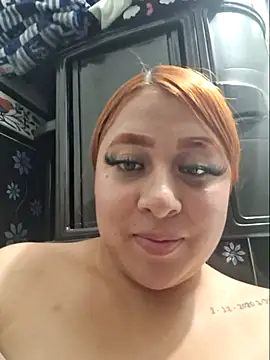 venuscopper webcam