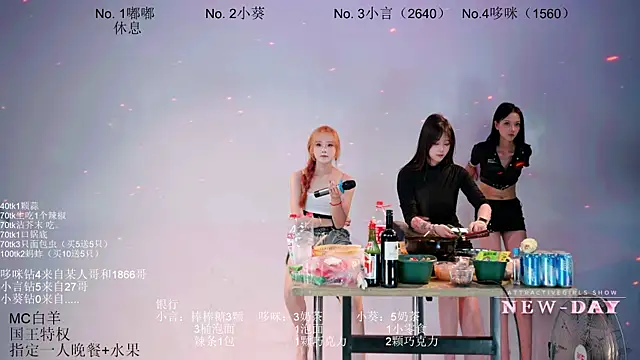 NEW-DAY webcam