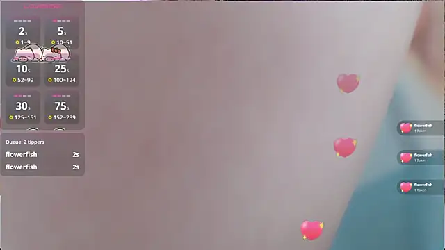 Coco-Di webcam