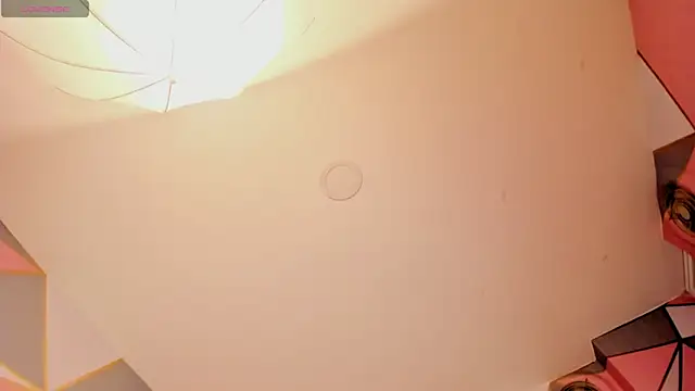 joel_tyler webcam