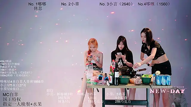 NEW-DAY webcam