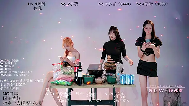 NEW-DAY webcam
