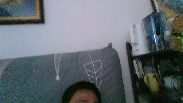 866532 webcam