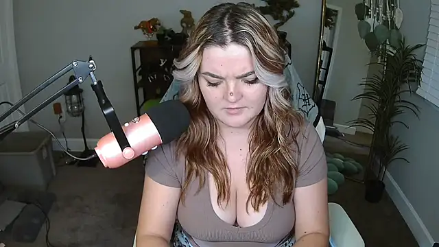 Briieverly webcam