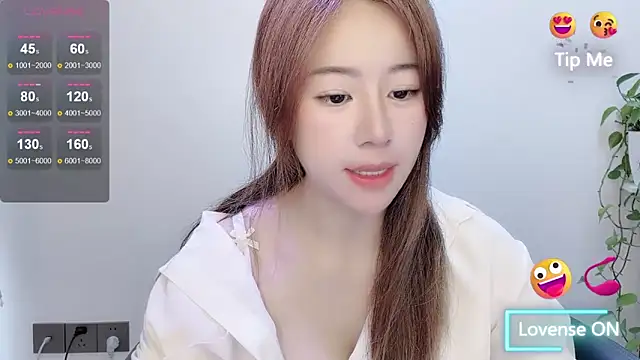 Baixi-01 webcam