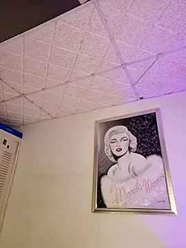 laurabassii webcam