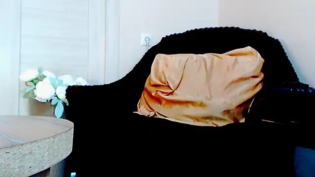 Live_View webcam