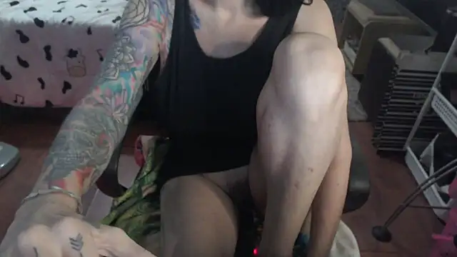 VenusX webcam