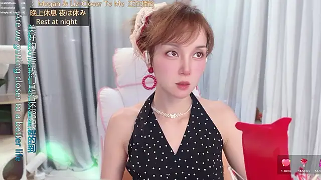 hi-AnAn webcam