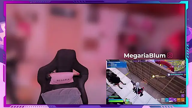 MegariaB webcam