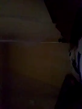Coco2vee webcam