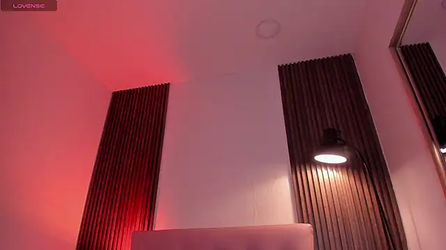 MAGIC_VERA webcam