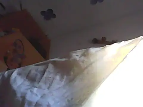 Fundy37 webcam