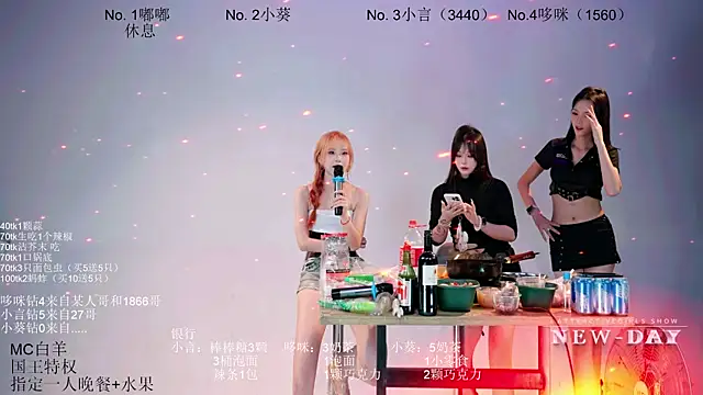 NEW-DAY webcam