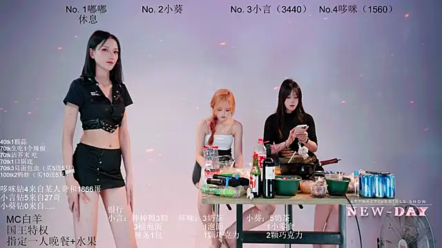 NEW-DAY webcam