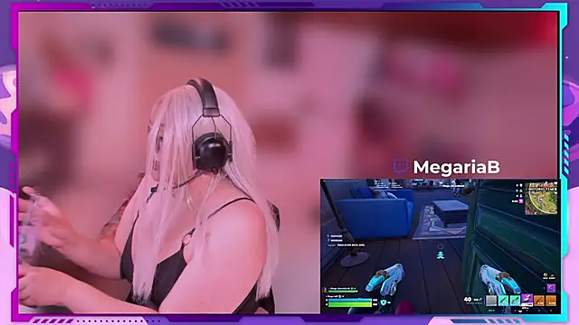 MegariaB webcam