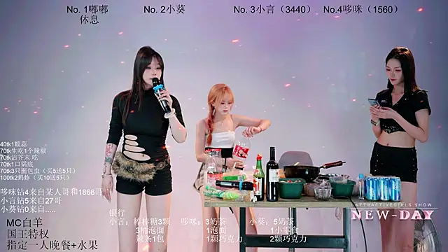 NEW-DAY webcam