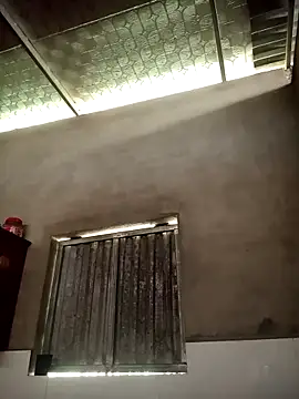 toyo_668 webcam
