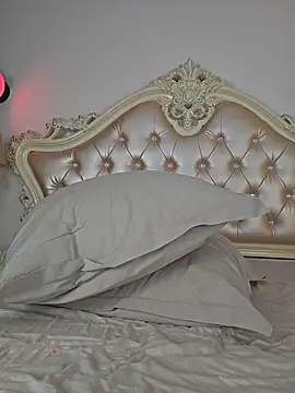 SensyTV webcam