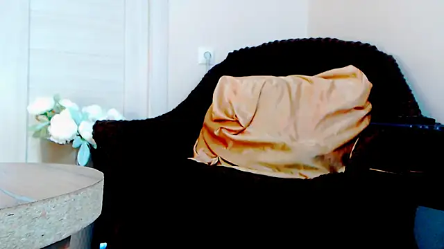 Live_View webcam