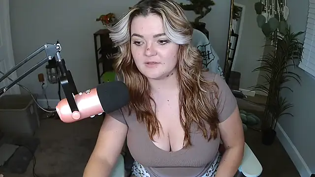 Briieverly webcam