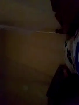 Coco2vee webcam