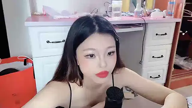 paofu-520 webcam