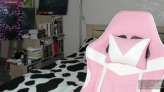 bbJ_one webcam