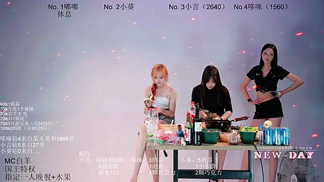 NEW-DAY webcam