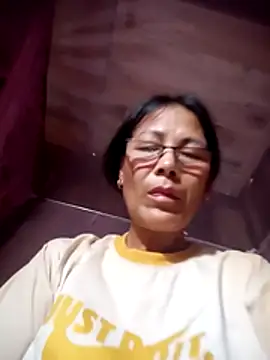 toyo_668 webcam