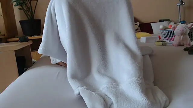 Dorina webcam
