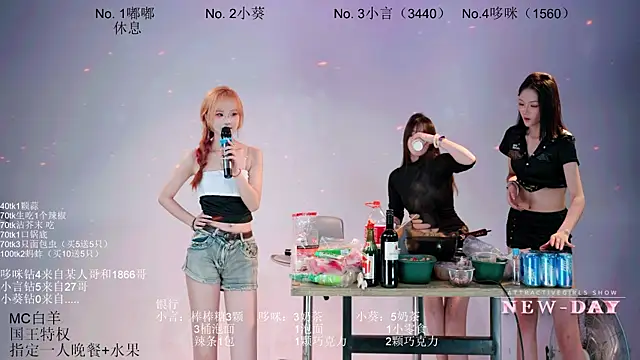 NEW-DAY webcam