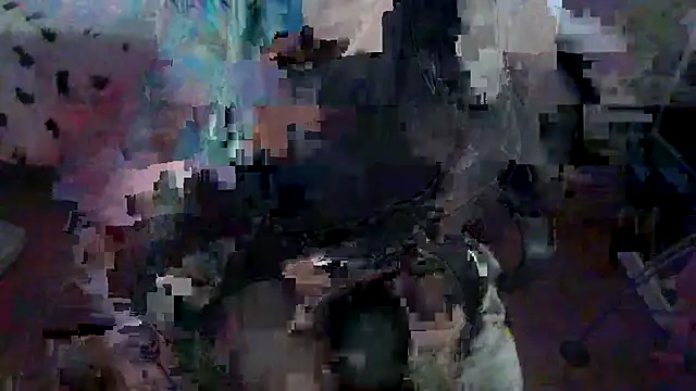 VenusX webcam