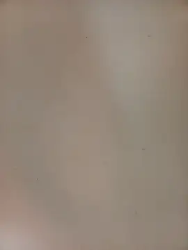 PatriciaVen webcam