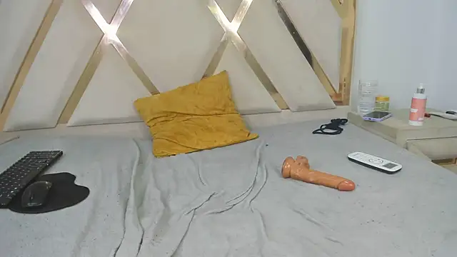 mitch_asm webcam