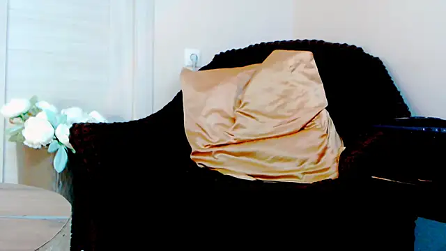 Live_View webcam