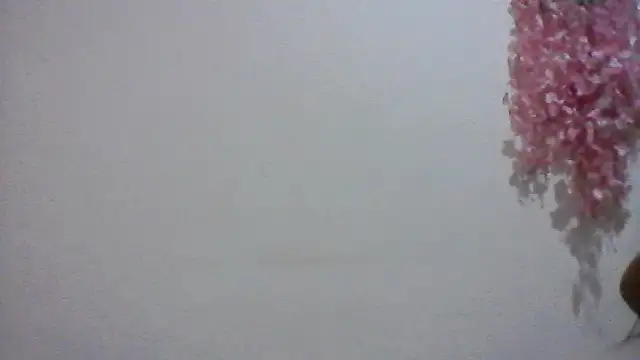 shashel5 webcam