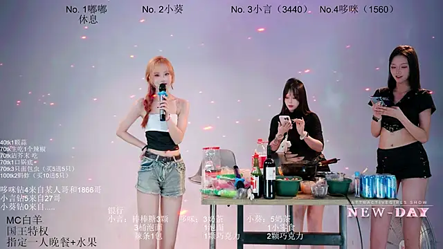 NEW-DAY webcam