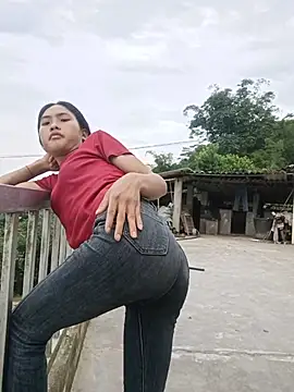 Hoa-tuylip