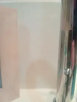 DecodingSteady webcam