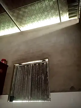 toyo_668 webcam