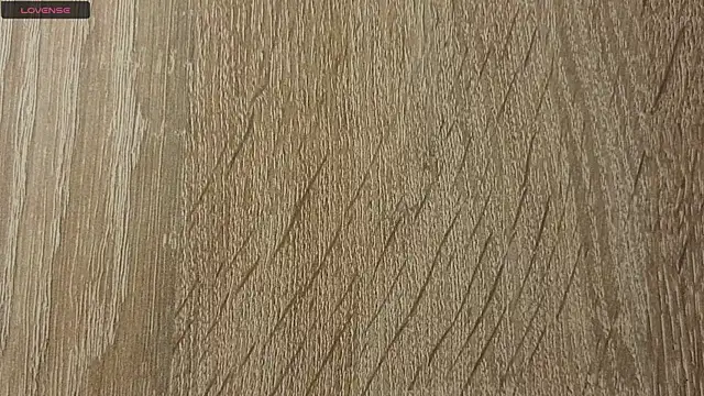 NoFace_Model webcam