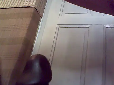 mvd71 webcam