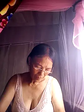 toyo_668 webcam